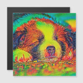 AnimalColor_Dog_017 (Front/Back)