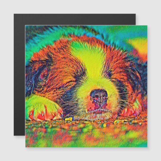 AnimalColor_Dog_017 (Front/Back)