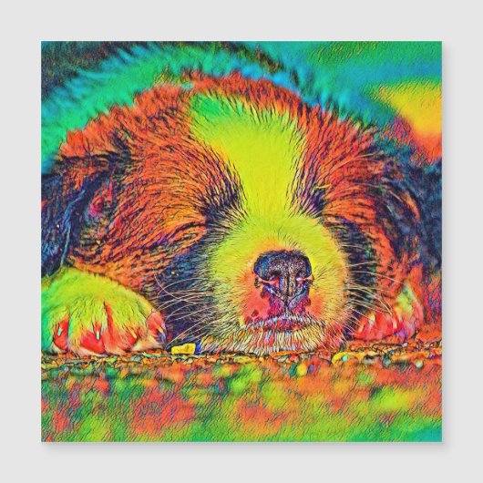 AnimalColor_Dog_017 (Front)