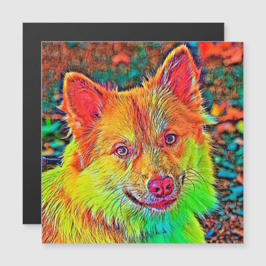 AnimalColor_Dog_020 (Front/Back)