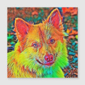 AnimalColor_Dog_020 (Front)