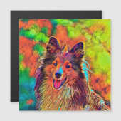 AnimalColor_Dog_024 (Front/Back)