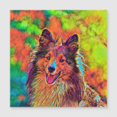 AnimalColor_Dog_024 (Front)