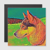 AnimalColor_Dog_039 (Front/Back)