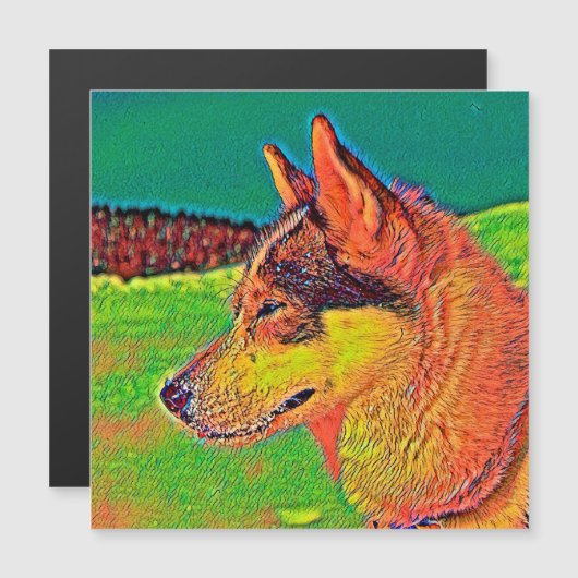 AnimalColor_Dog_039 (Front/Back)