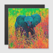 AnimalColor_Elephant_002 (Front/Back)