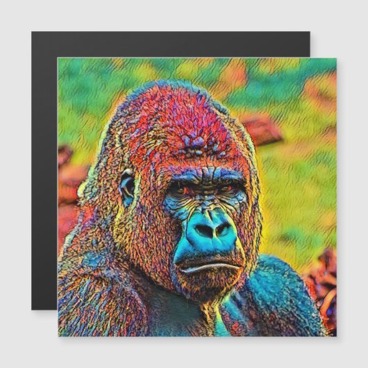 AnimalColor_Gorilla_010 (Front/Back)