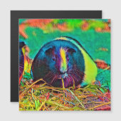 AnimalColor_Guineapig_002 (Front/Back)