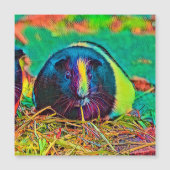 AnimalColor_Guineapig_002 (Front)