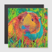 AnimalColor_Guineapig_017 (Front/Back)