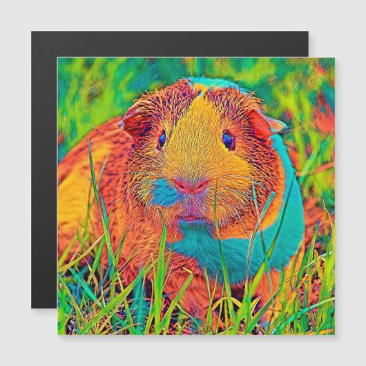 AnimalColor_Guineapig_017 (Front/Back)