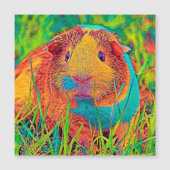 AnimalColor_Guineapig_017 (Front)