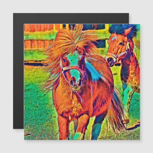 AnimalColor_Horse_001 (Front/Back)