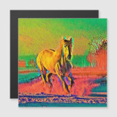 AnimalColor_Horse_003 (Front/Back)
