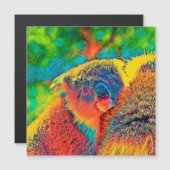 AnimalColor_Koala_001 (Front/Back)