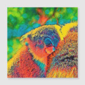 AnimalColor_Koala_001 (Front)