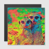 AnimalColor_Meerkat_002 (Front/Back)