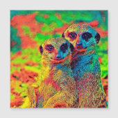 AnimalColor_Meerkat_002 (Front)