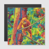 AnimalColor_OrangUtan_014 (Front/Back)