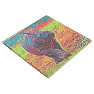 AnimalColor_Rhino_001 Gallery Wrap