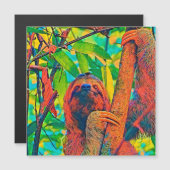 AnimalColor_Sloth_003 (Front/Back)