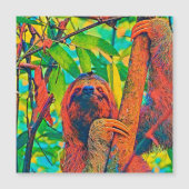 AnimalColor_Sloth_003 (Front)