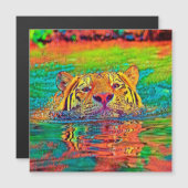 AnimalColor_Tiger_001 (Front/Back)