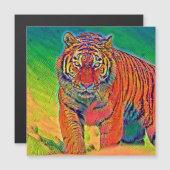 AnimalColor_Tiger_005 (Front/Back)
