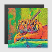 AnimalColor_Tiger_054 (Front/Back)