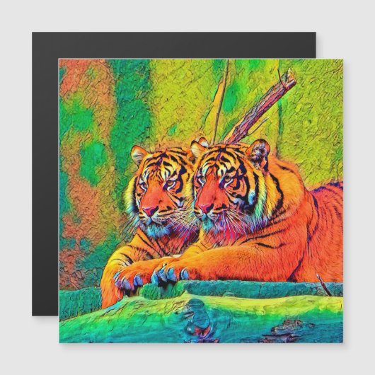 AnimalColor_Tiger_054 (Front/Back)