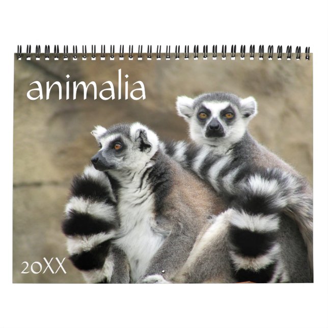 animalia 2026 calendar (Cover)