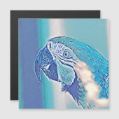 AnimalMix_Bird_009 (Front/Back)