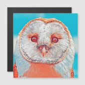 AnimalMix_Bird_023 (Front/Back)