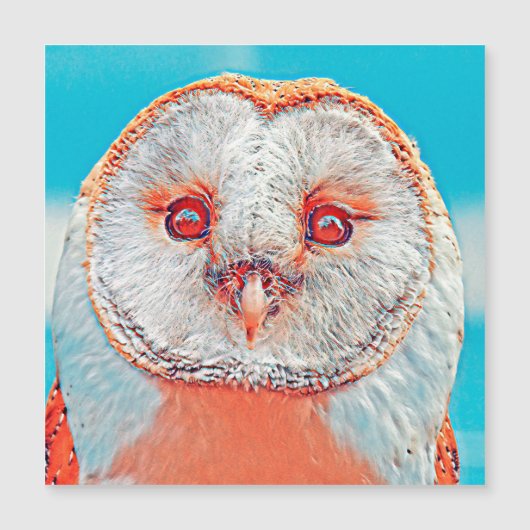 AnimalMix_Bird_023 (Front)