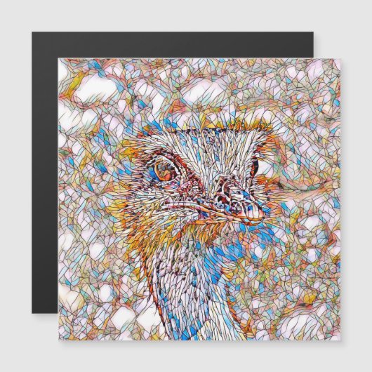 AnimalMix_Bird_042 (Front/Back)