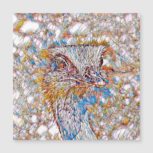 AnimalMix_Bird_042 (Front)