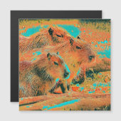 AnimalMix_Capybara_006 (Front/Back)