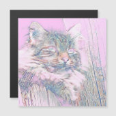 AnimalMix_Cat_012 (Front/Back)