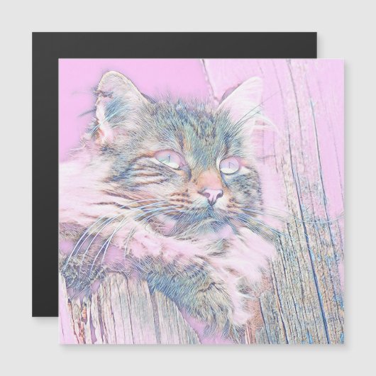 AnimalMix_Cat_012 (Front/Back)