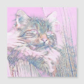 AnimalMix_Cat_012 (Front)