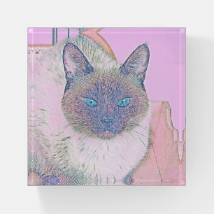 AnimalMix_Cat_017 Paperweight