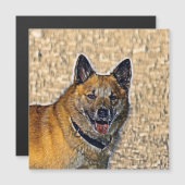 AnimalMix_Dog_004 (Front/Back)