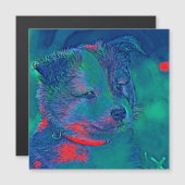 AnimalMix_Dog_022 (Front/Back)