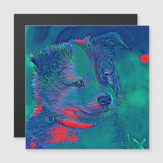 AnimalMix_Dog_022 (Front/Back)