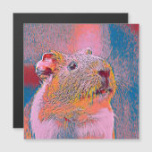 AnimalMix_Guineapig_001 (Front/Back)