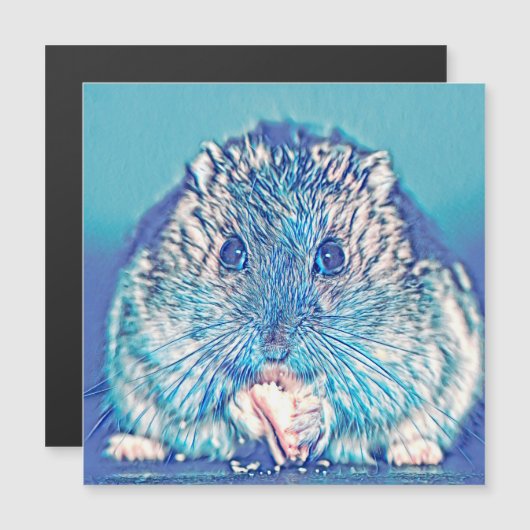 AnimalMix_Hamster_003 (Front/Back)