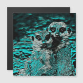 AnimalMix_Meerkat_001 (Front/Back)