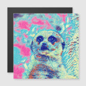 AnimalMix_Meerkat_008 (Front/Back)