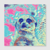AnimalMix_Meerkat_008 (Front)