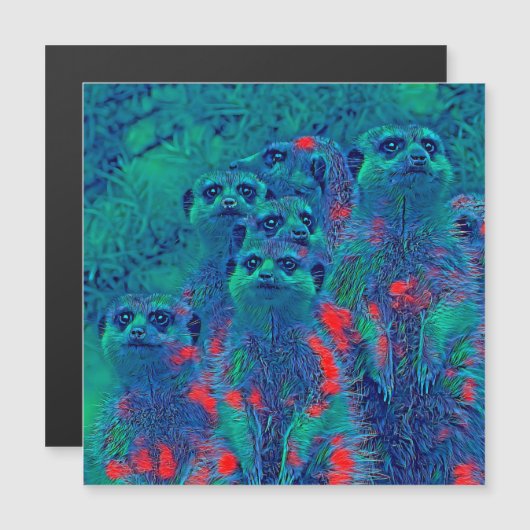 AnimalMix_Meerkat_015 (Front/Back)